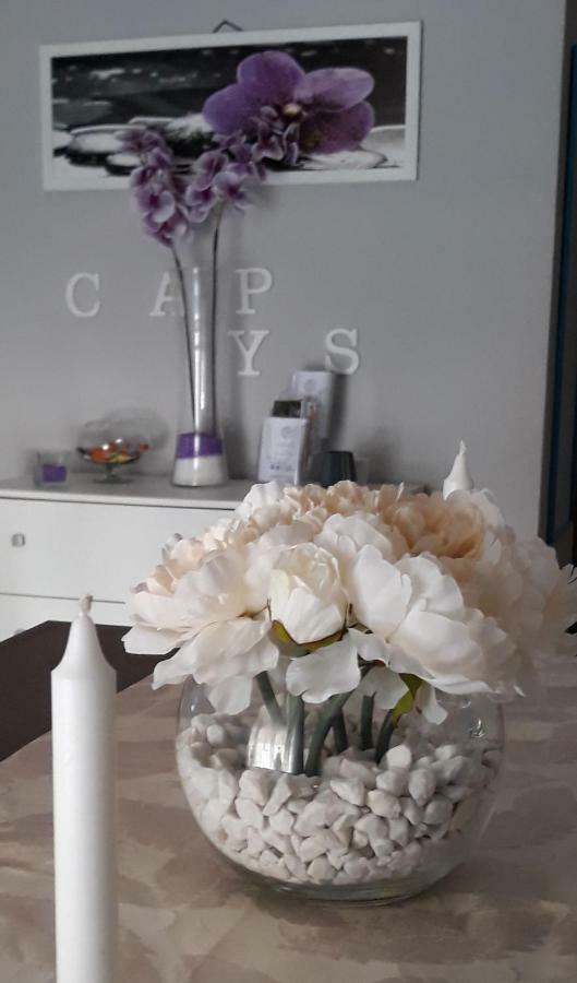 סנטה מריה קפואה וטרה Niky Home מראה חיצוני תמונה